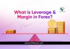 What Is Leverage in Forex Trading? (Simple Explanation for Beginners)