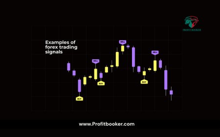 Forex Signals: Are They Worth It? My 30-Day Experiment