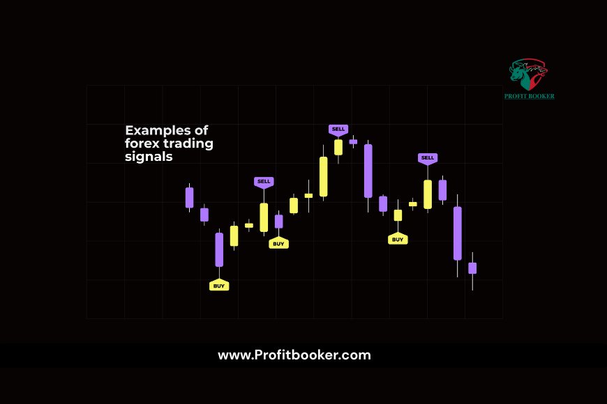 Forex Signals: Are They Worth It? My 30-Day Experiment