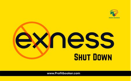 Is Exness Shutting Down in India? Latest 2025 Update & Facts